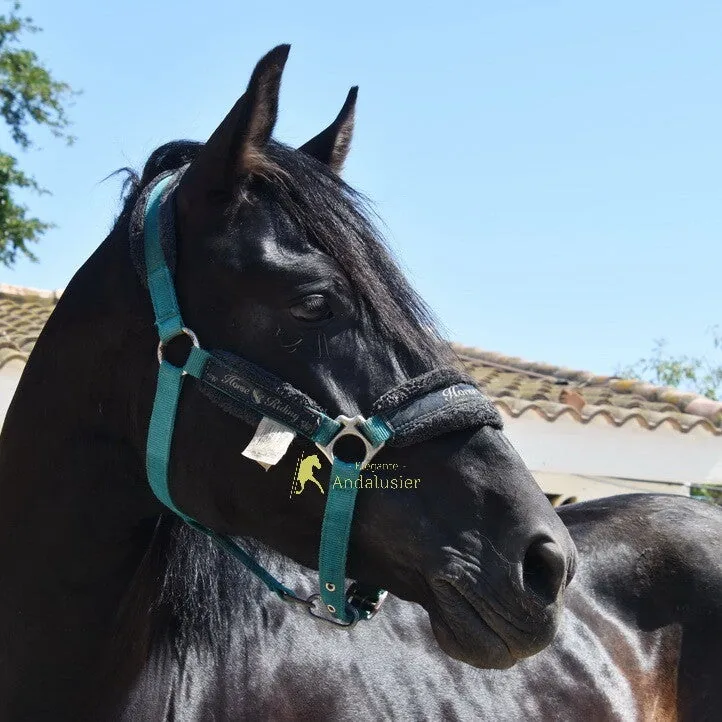 Duque CMXXVI — PRE Stallion